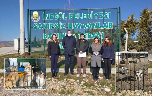 Baroların hayvan hakları komisyonları yurt çapında inceleme yaptı